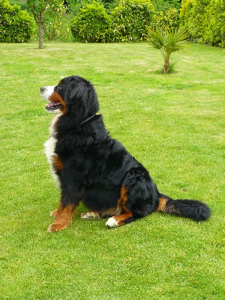 Urfie de Belle de Fontenelle